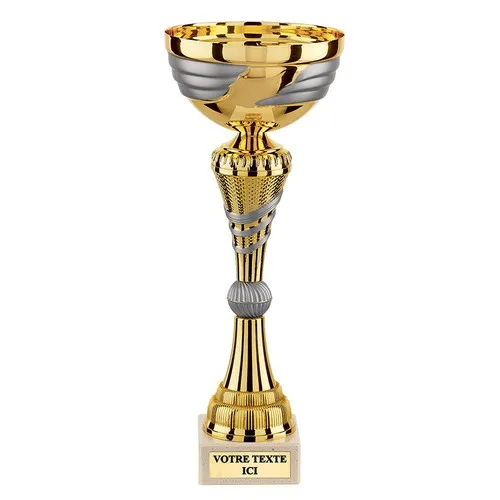 Coupe Or et Argent Mat sur Socle Marbre - Trophée Prestige Personnalisable