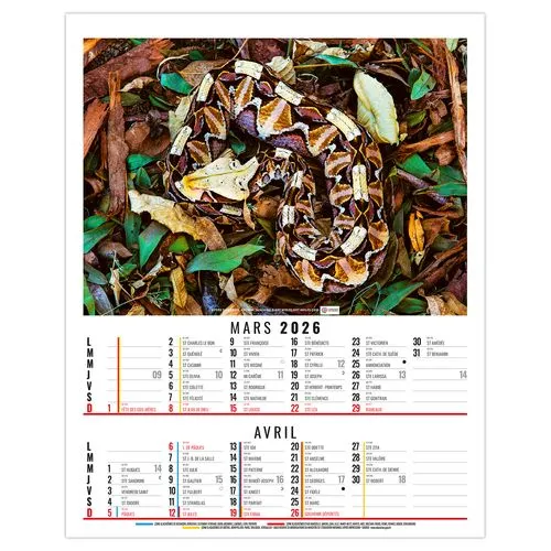 ANNA 2026 - 6 FEUILLETS - BLOC SEUL SANS MARQUAGE