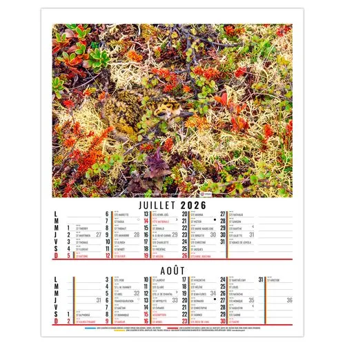 ANNA 2026 - 6 FEUILLETS - BLOC SEUL SANS MARQUAGE