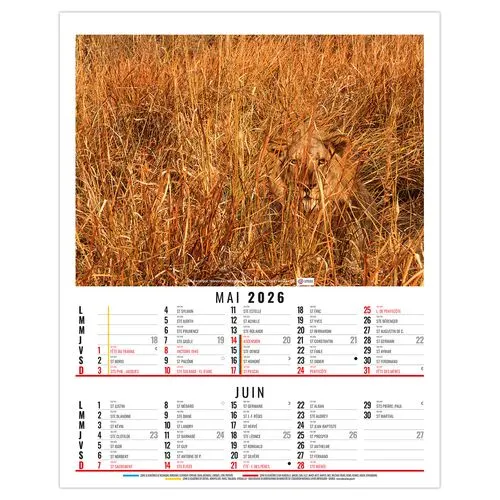 ANNA 2026 - 6 FEUILLETS - BLOC SEUL SANS MARQUAGE