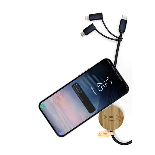 Câble de charge 3-en-1 personnalisable 100W - Compatible universel