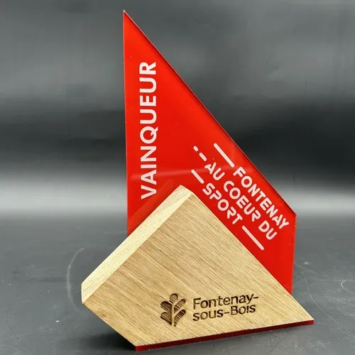 Trophée Personnalisable Bois et Plexiglas - Récompense Prestige