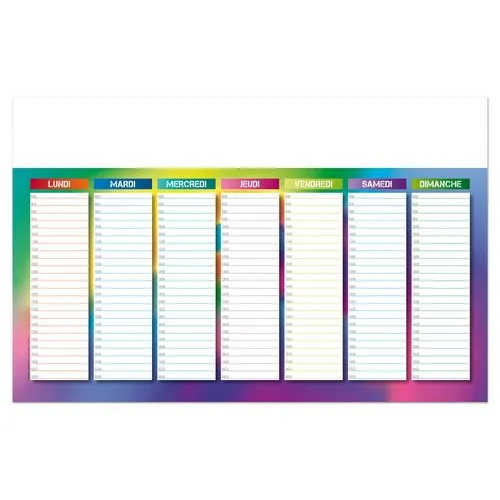 L'EFFAÇABLE 2026 - MAXI 650 x 405 mm - LEGER 400G - DOS BLANC - SANS MARQUAGE - 1 TROU EN TETE