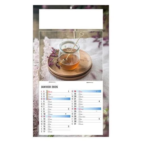 PLAQUE 1 VUE PHYTO 2026 - DOS CARTON - BLOC B2 - SANS MARQUAGE