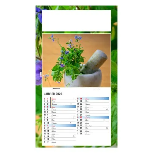 PLAQUE 1 VUE PHYTO 2026 - DOS CARTON - BLOC B2 - SANS MARQUAGE