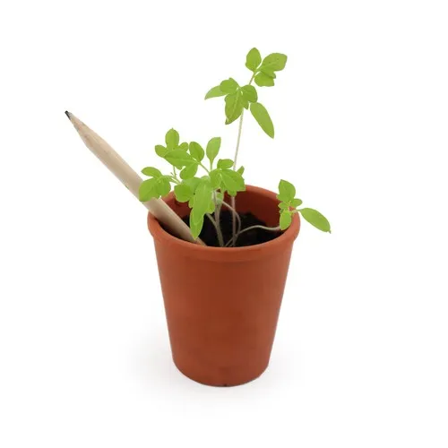 Crayon à graines personnalisable - Objet publicitaire écologique