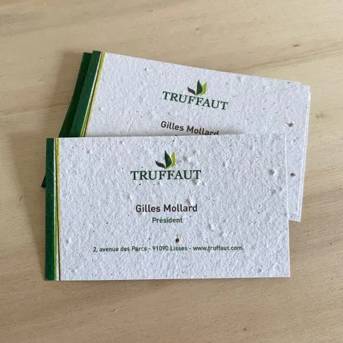 Cartes de Visite Ensemencées Recto Verso - Papier à Planter 100g