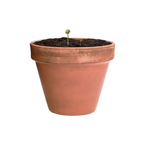 Boule de graines Flobba