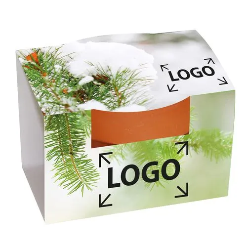 Mini Pot Terre Cuite avec Graines d'Épicéa Personnalisable