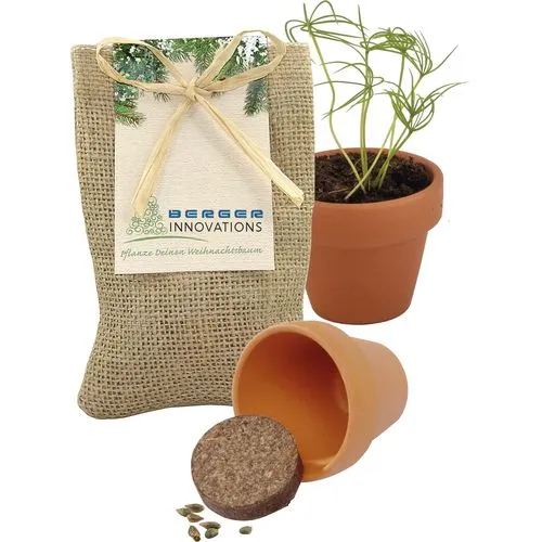 Mini Pot Terre Cuite avec Graines d'Épicéa Personnalisable