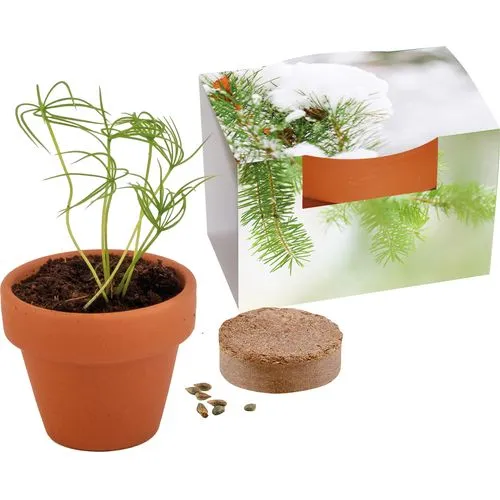 Mini Pot Terre Cuite avec Graines d'Épicéa Personnalisable