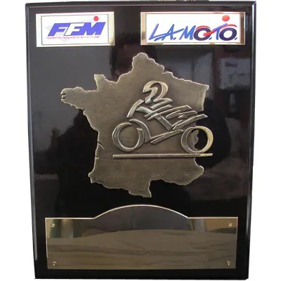 FEDERATION FRANCAISE DE MOTOCYCLISMEN