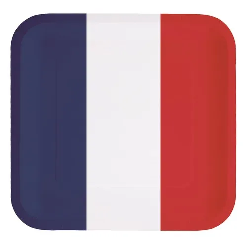 Assiettes Jetables Carrées Tricolores 23cm - Lot de 8