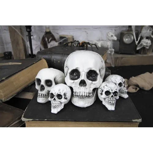 FILET DE 6 TETES DE MORT ASSORTIES