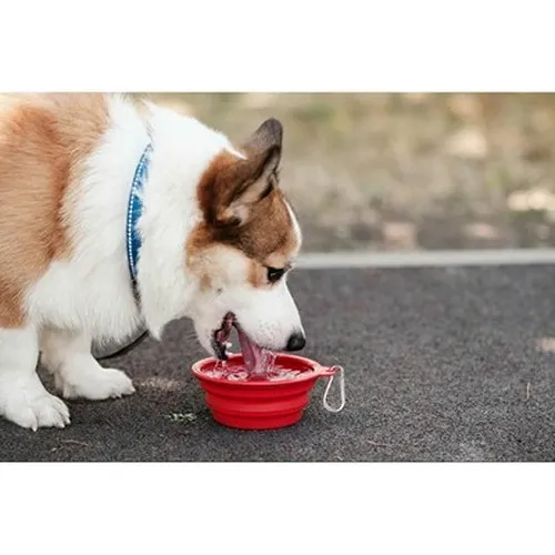 Gamelle pliable pour chien | Platora