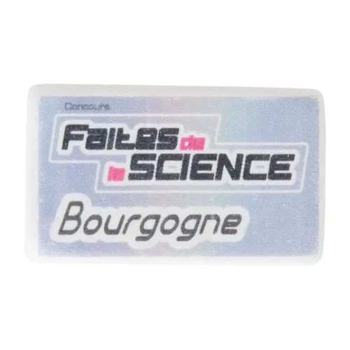 GOMME RECTANGULAIRE PM