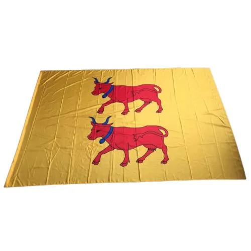 Grande voile polyester 100 gr