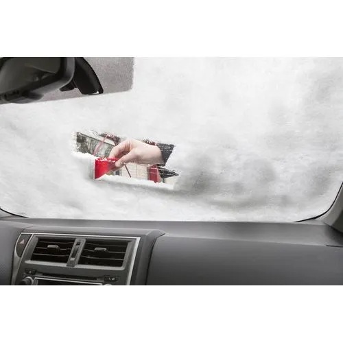 Gratte-neige Amaryllis