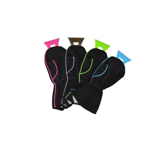 Grattoir à glace Big Glove