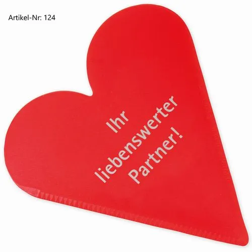 Grattoir à glace Sympathy