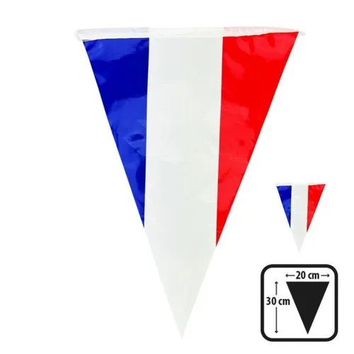 Guirl 20 fanions en plastique 20X30 cm BBR 10 M