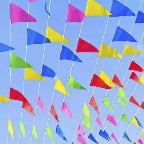Guirlande 18 fanions XXL PLASTIQUE multicore 10 m