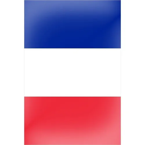 Guirlande 5m 8 fanions  plastique France