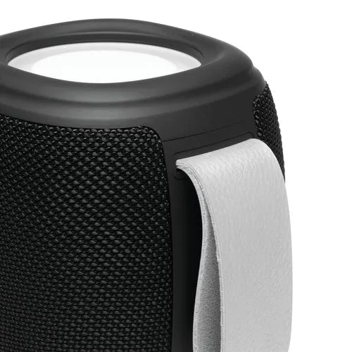 Haut-parleur sans fil RÉSISTANT