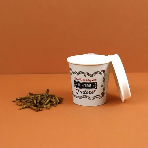 Insectes apéritifs en pot carton