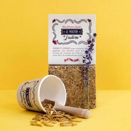 Insectes apéritifs en pot carton