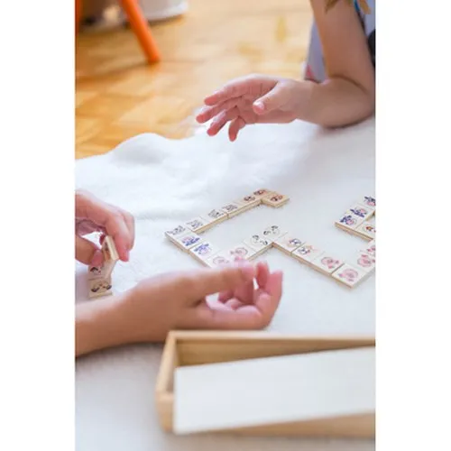 Jeu de dominos dans | Tiernan