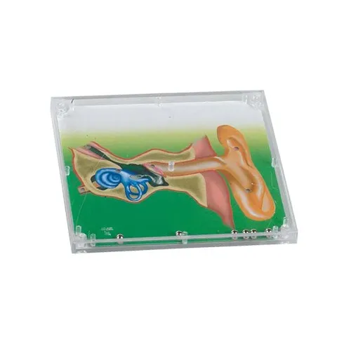 JEU DE PATIENCE "OREILLE"