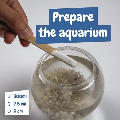 Jurassic Pets Kit I. Jeu éducatif pour enfants