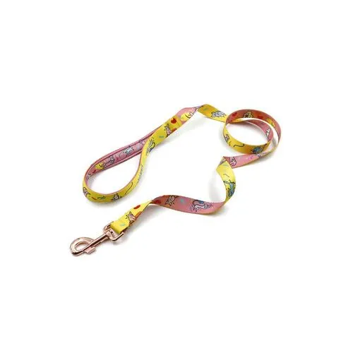 Laisses personnalisées pour chiens