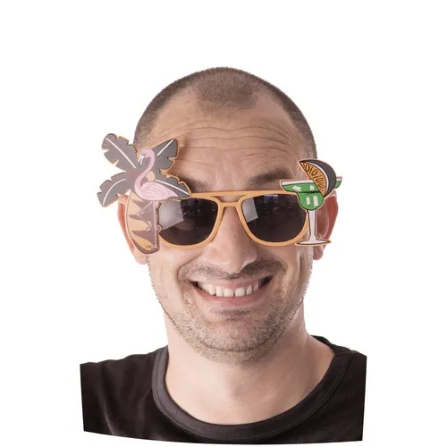 LUNETTES HOLIDAYS 2 COUL ASS