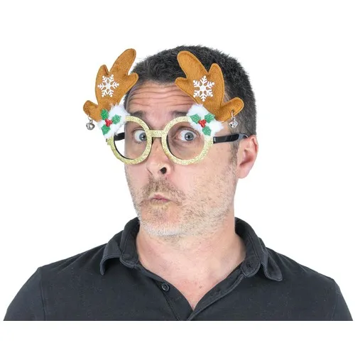 LUNETTES RUDOLPH PAILLETEES
