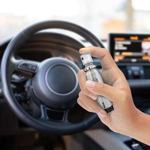 Nettoyant pour Cockpit de Voiture, 20 ml, No Label Look (Alu Look)