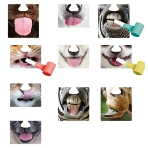 nose masques x 10 + 6 sans gènes animaux