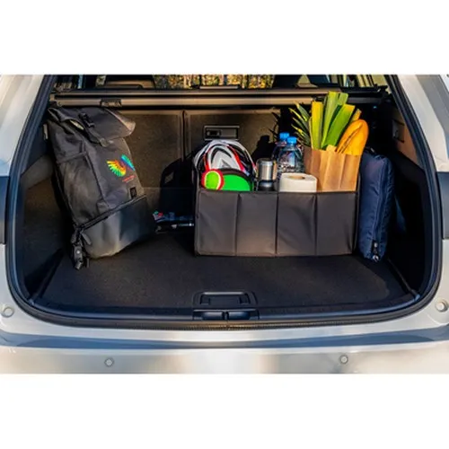 Organiseur de voiture pliable | Reign