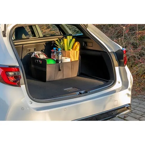 Organiseur de voiture pliable | Reign