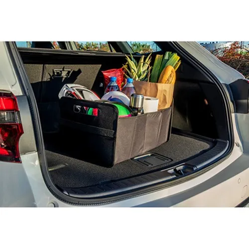 Organiseur de voiture pliable | Reign