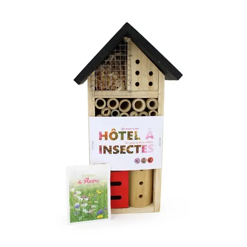 Petit hôtel insectes