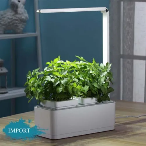 Petite jardinière LED