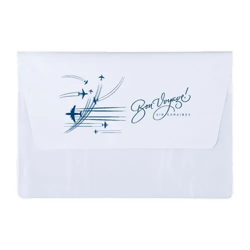 POCHETTE VOYAGE 2 P PVC STD