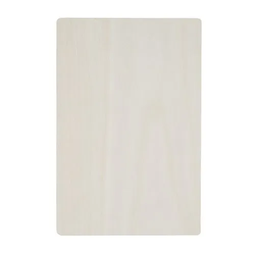 Puzzle en bois BRAIN TWISTER