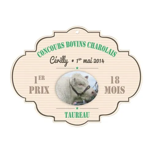 PVC CALANDRE 0.5MM 51/108 CM2