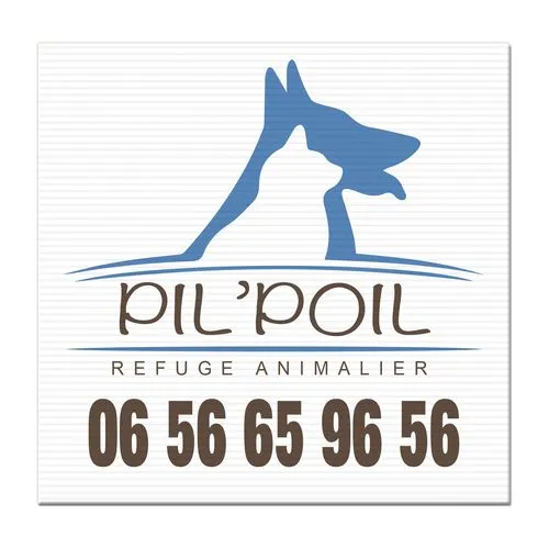 SERIGRAPHIE MAXI 97X68 CM