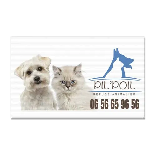 SERIGRAPHIE MAXI 97X68 CM