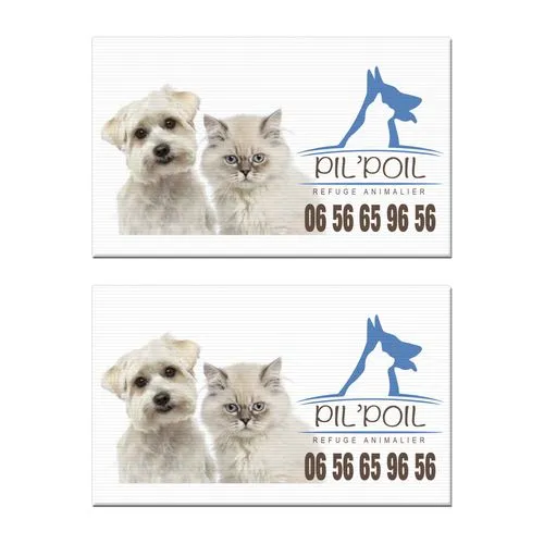 SERIGRAPHIE MAXI 97X68 CM