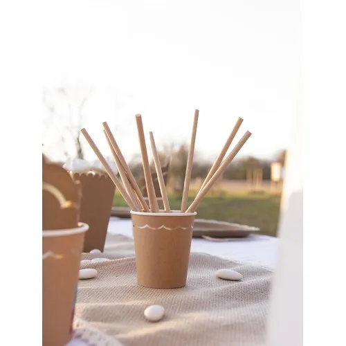 SET DE 10 PAILLES KRAFT